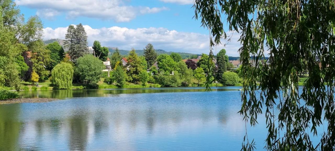 Ferienwohnung Zum Hirschen هرتسبرغ آم هارتس المظهر الخارجي الصورة